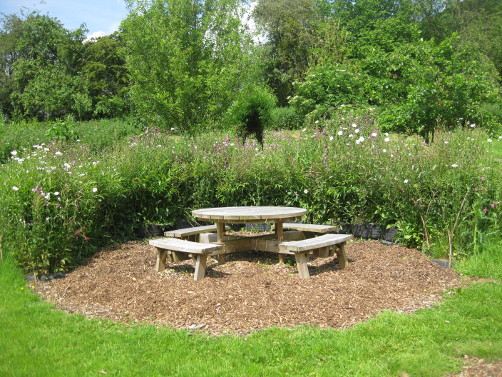 Wooden Table at the Park